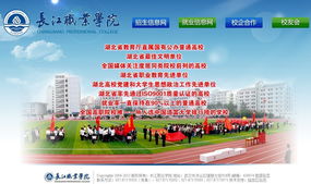 武漢市陸叁玖科技 一站式數字解決方案，助力企業騰飛