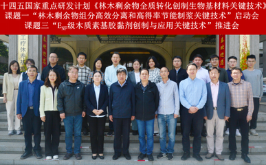 林木剩余物全質轉化創制生物基材料關鍵技術研發項目啟動，助力綠色低碳產業鏈升級